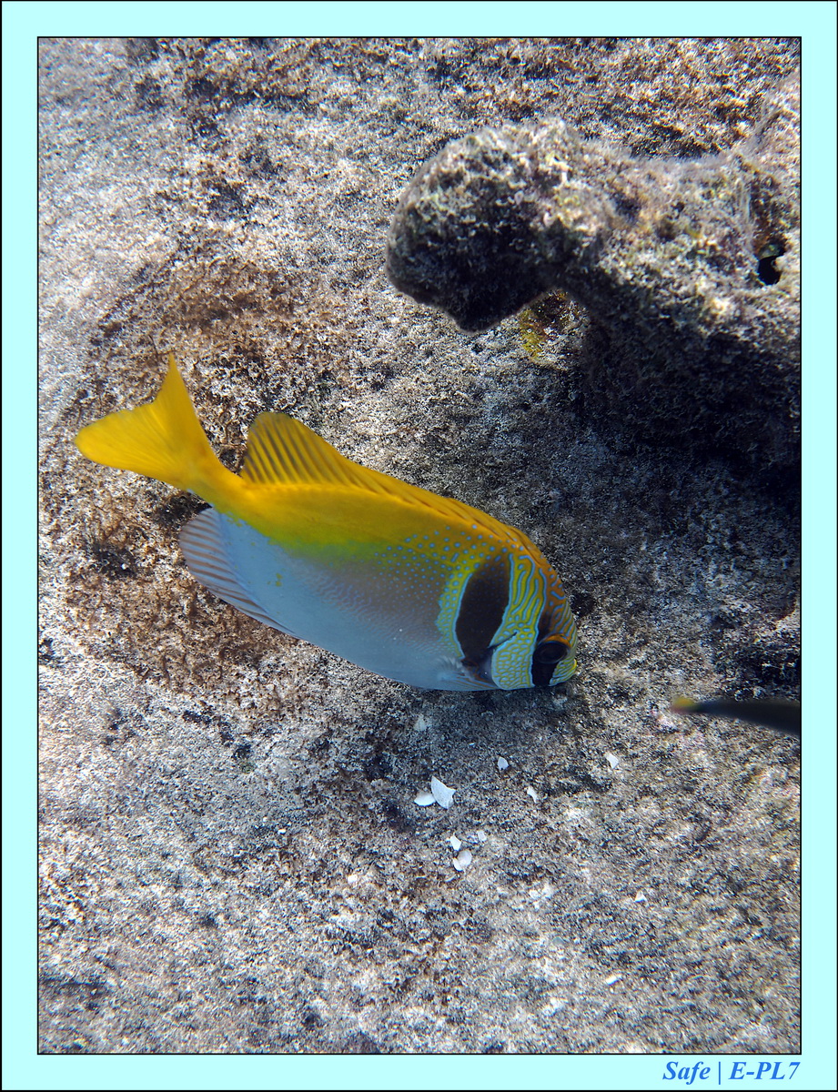 2016 - 07 - Leng Tengah - 056